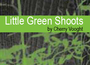 Little Green Shoots New