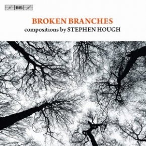 Broken Branches