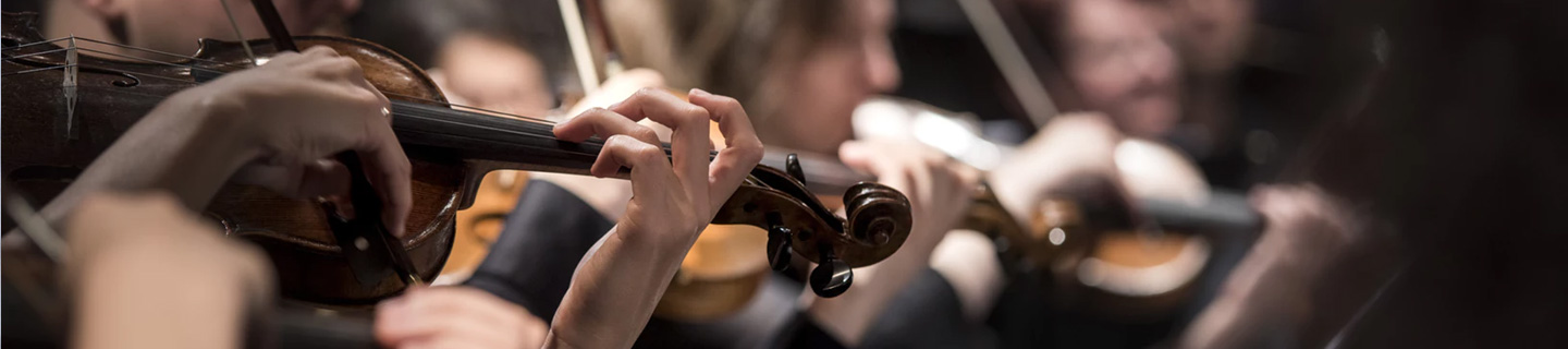 Concert Hire
