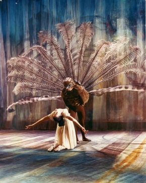 The Lyre Bird in Malcolm Williamson's 'The Display'