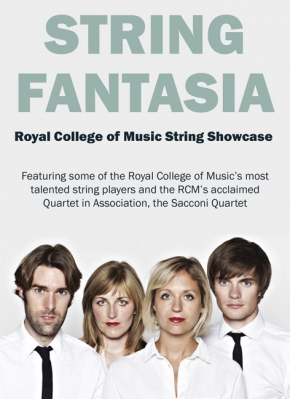 Patterson Fantasia Harp Wigmore