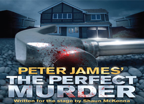 Perfect Murder new