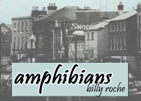 amphibians new
