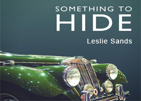 something to hide new